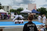 Galeria zdjęć, foto nr 37, 